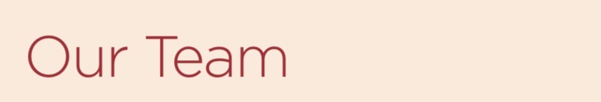 A graphic that reads “Our team”